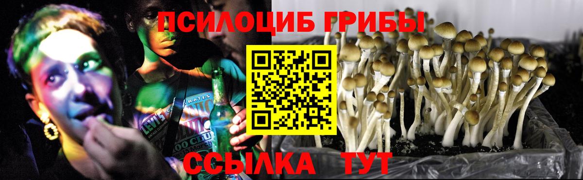 Галлюциногенные грибы прущие грибы Донецк
